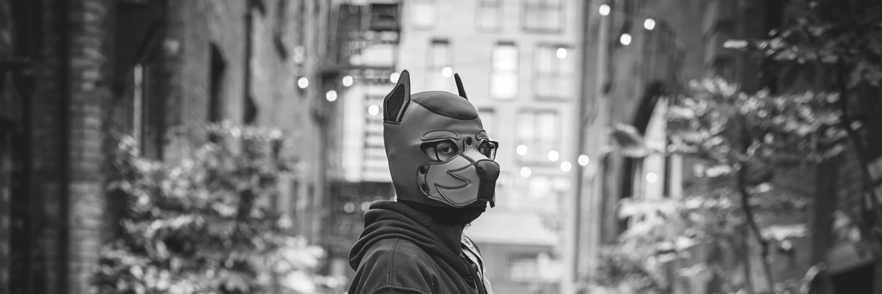 BlitzFox in a pup hood on a city street, with lights behind